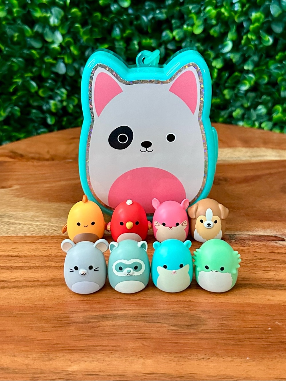 Squish-a-longs by Squishmallows House Pets Bundle